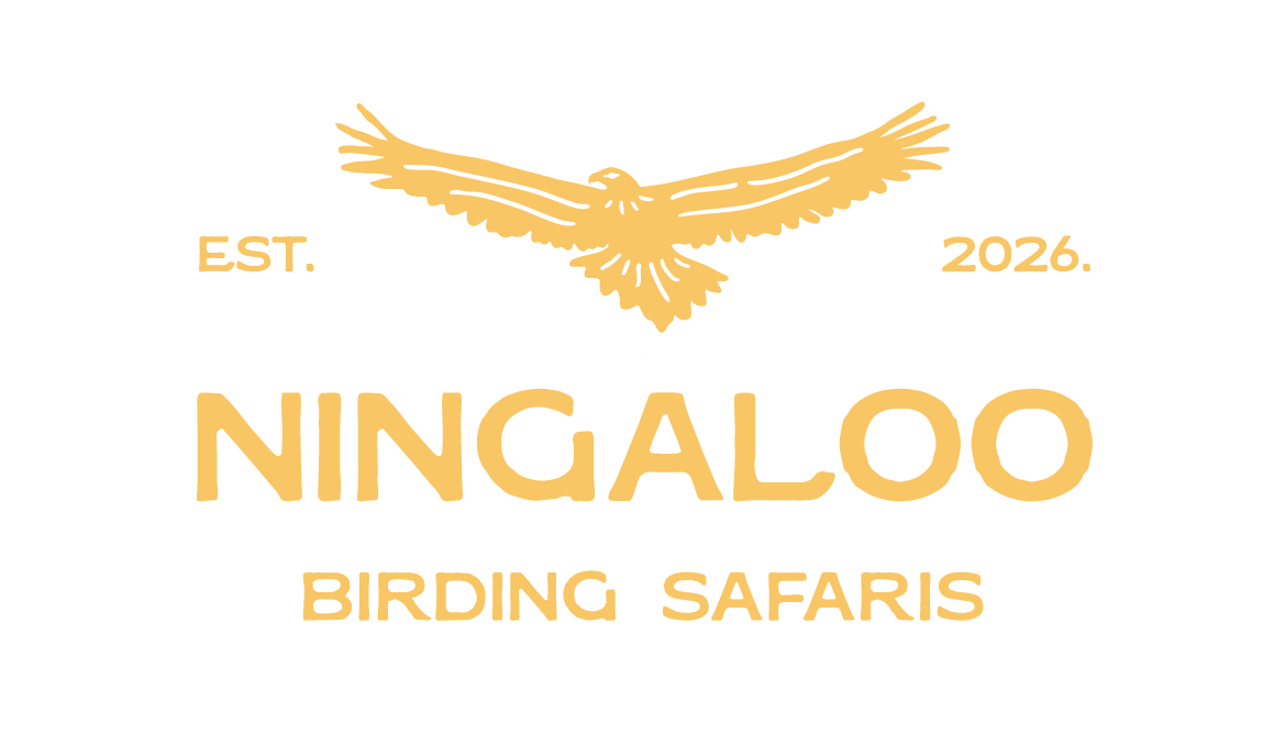 Ningaloo Birding Safaris
